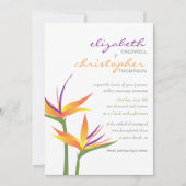 Paradiesvogel Einladung (Vorderseite)