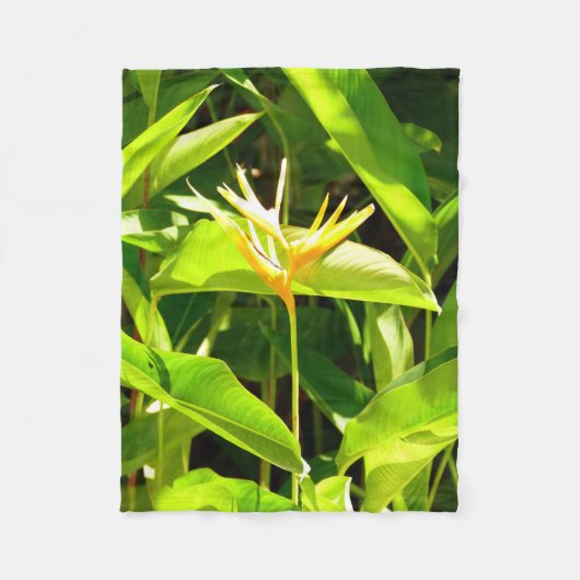 Paradiesvogel Fleecedecke (Vorderseite)