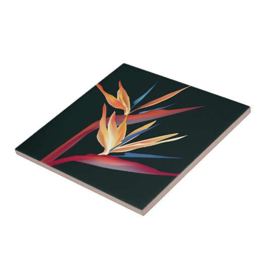 Paradiesvogel Fliese (Seite)