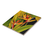 Paradiesvogel Fliese (Seite)