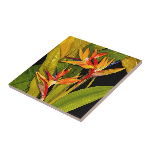 Paradiesvogel Fliese (Seite)