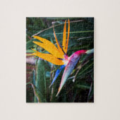 Paradiesvogel - FOTO Puzzle (Vertikal)