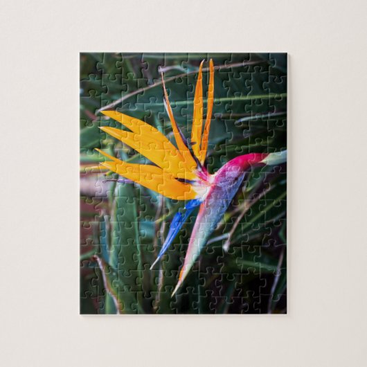 Paradiesvogel - FOTO Puzzle (Vertikal)