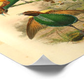 Paradiesvögel Gelbgrüne Vintage Printwerbung Poster (Ecke)