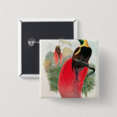 Paradiesvogel, graviert von T. Walter Button (Vorne & Hinten)