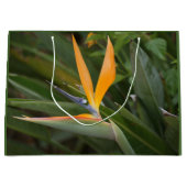 Paradiesvogel Große Geschenktüte (Vorderseite)