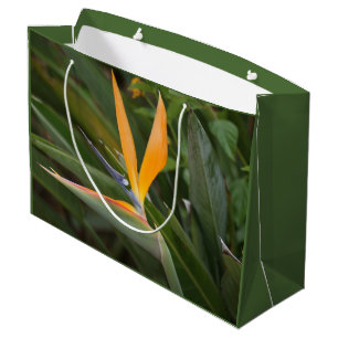 Paradiesvogel Große Geschenktüte