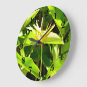 Paradiesvogel Große Wanduhr (Winkel)