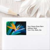 Paradiesvogel (Hawaii) (Insitu)