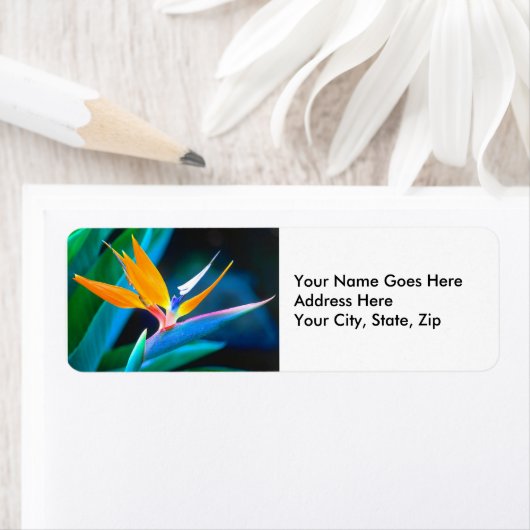 Paradiesvogel (Hawaii) (Insitu)