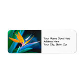 Paradiesvogel (Hawaii) (Vorne)