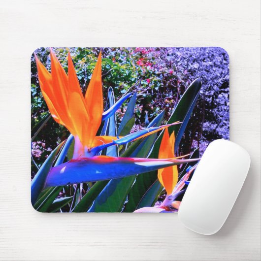 Paradiesvogel Hawaii Mousepad (Mit Mouse)
