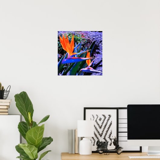 Paradiesvogel Hawaii Poster (Heimbüro)