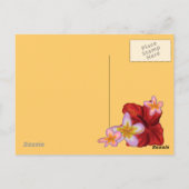 Paradiesvogel Hawaii Postkarte (Rückseite)