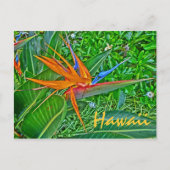Paradiesvogel Hawaii Postkarte (Vorderseite)