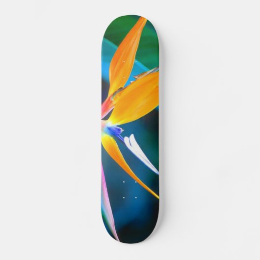 Paradiesvogel Hawaii-Skateboard Skateboard (Vorderseite)