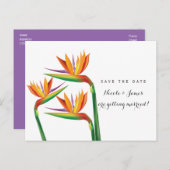 Paradiesvogel Hochzeit Das Datum der Postkarte spe (Vorne/Hinten)