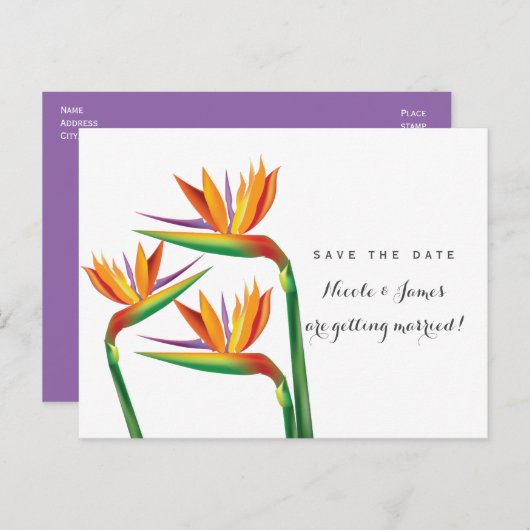 Paradiesvogel Hochzeit Das Datum der Postkarte spe (Vorne/Hinten)