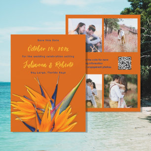 Paradiesvogel Hochzeitsankündigung mit mehreren Fo Save The Date