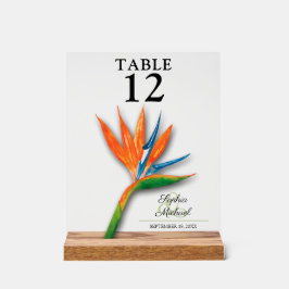 Paradiesvogel - Hochzeitsvogel der Tischnummer Acrylschild