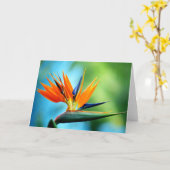 Paradiesvogel I Karte (Gelbe Blume)