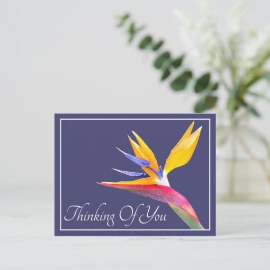 Paradiesvogel - Ihr Gedanke Postkarte (Stehend Vorderseite)