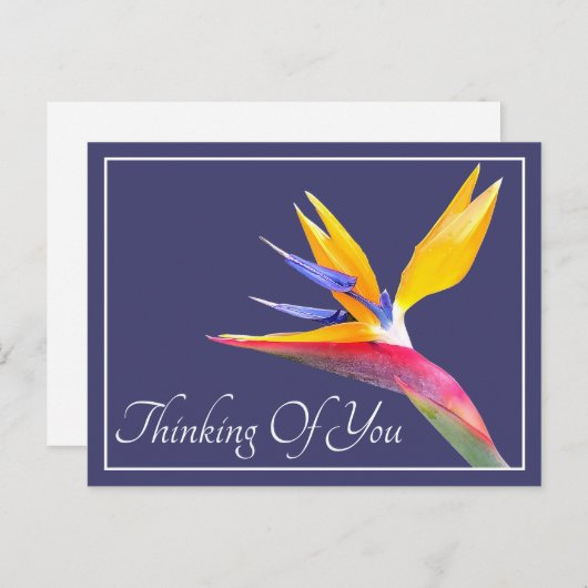 Paradiesvogel - Ihr Gedanke Postkarte (Vorne/Hinten)