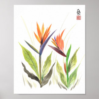 Paradiesvögel im Morgenlicht Poster