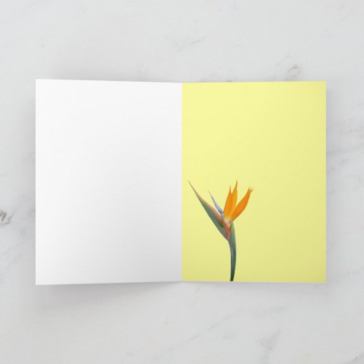 Paradiesvogel Karte (Innenseite)