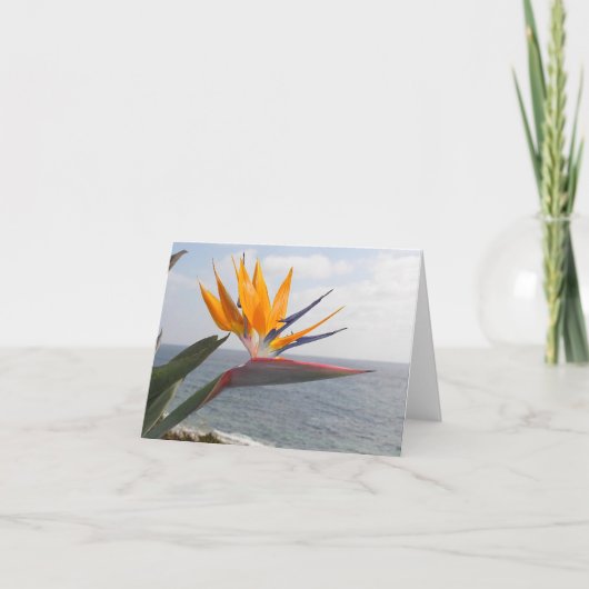 Paradiesvogel Karte (Vorderseite)