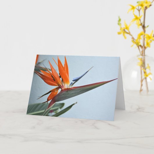 Paradiesvogel Karte (Gelbe Blume)