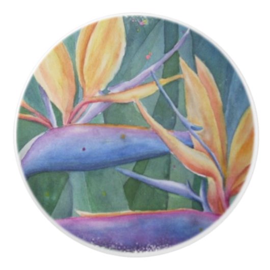 PARADIESVOGEL KERAMIK-GRIFF KERAMIKKNAUF (Vorderseite)