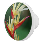 Paradiesvogel Keramikknauf (Rechts)