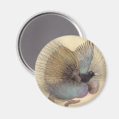 Paradiesvogel Kunstmagnet Magnet (Vorderseite/Rückseite)
