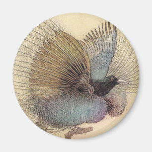 Paradiesvogel Kunstmagnet Magnet