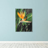 Paradiesvogel Leinwanddruck (Insitu (Holzboden))