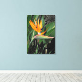 Paradiesvogel Leinwanddruck (Insitu (Holzboden))