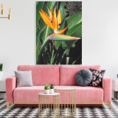 Paradiesvogel Leinwanddruck (Insitu (Wohnzimmer))