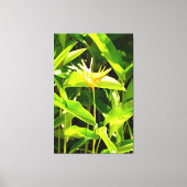 Paradiesvogel Leinwanddruck (Vorderseite)