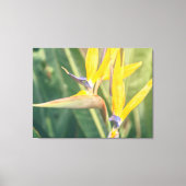 Paradiesvogel Leinwanddruck (Vorderseite)