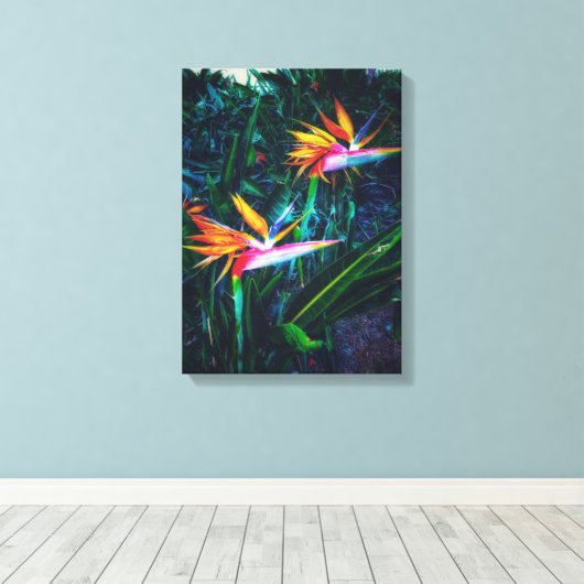 Paradiesvogel Leinwanddruck (Insitu (Holzboden))