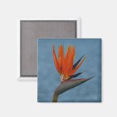 Paradiesvogel Magnet (Vorderseite/Rückseite)
