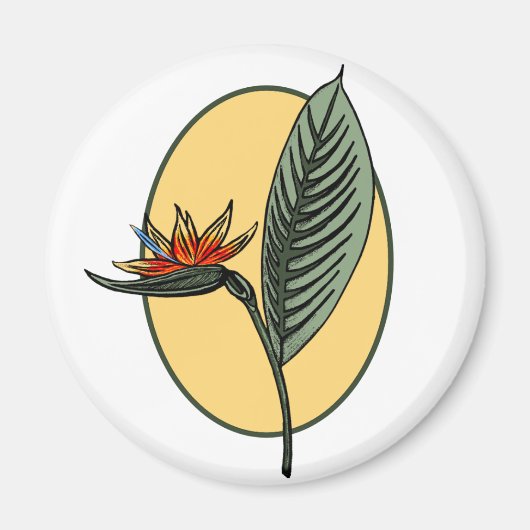 Paradiesvogel Magnet (Vorne)