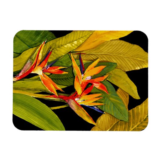 Paradiesvogel Magnet (Horizontal)