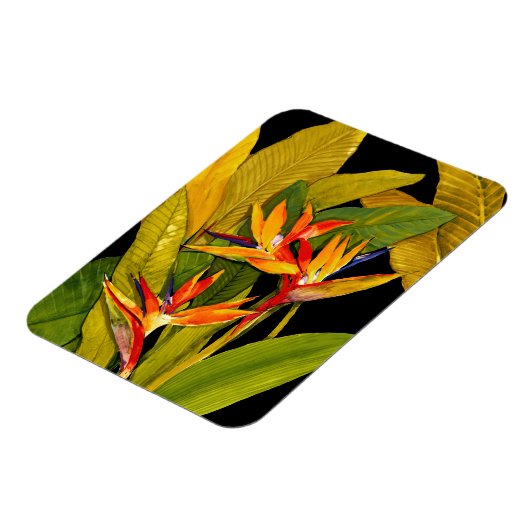 Paradiesvogel Magnet (Linke Seite)