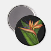 Paradiesvogel Magnet (Vorderseite/Rückseite)