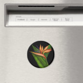 Paradiesvogel Magnet (In Situ (Geschirrspüler))