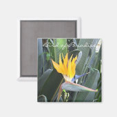 Paradiesvogel Magnet (Vorderseite/Rückseite)