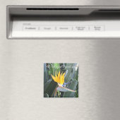 Paradiesvogel Magnet (In Situ (Geschirrspüler))