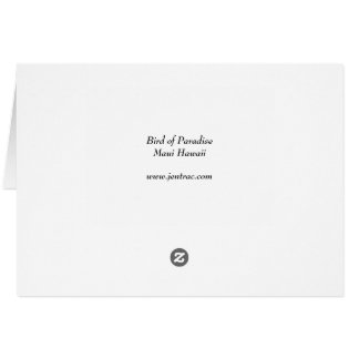 Paradiesvogel - Maui Hawaii